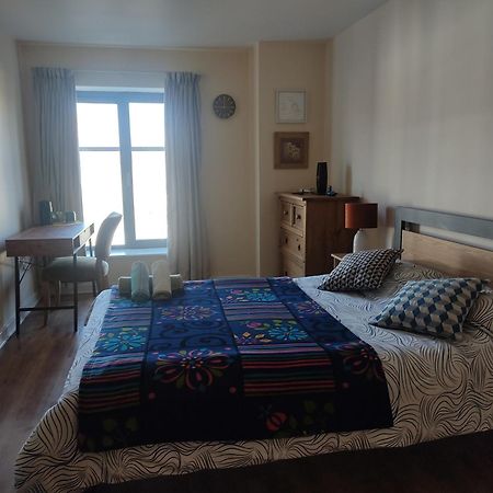 Swallows Nest - Spacious Bright Double Bedroom With Ensuite Bathroom Dublin Exterior foto